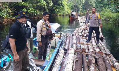 Polres Siak Usut Praktik Illegal Logging di HPT Sungai Apit